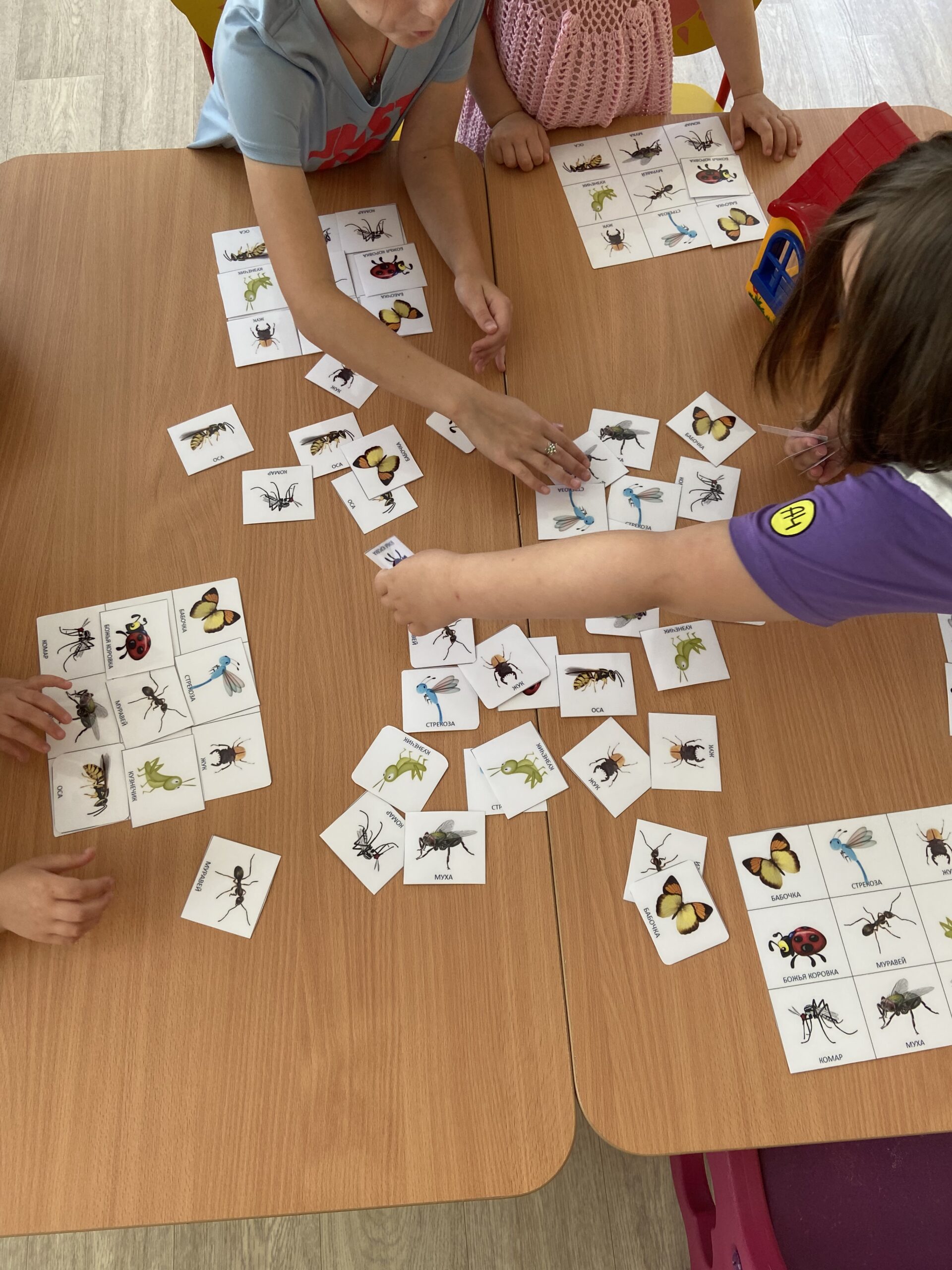 image-04-11-25-09-01-22